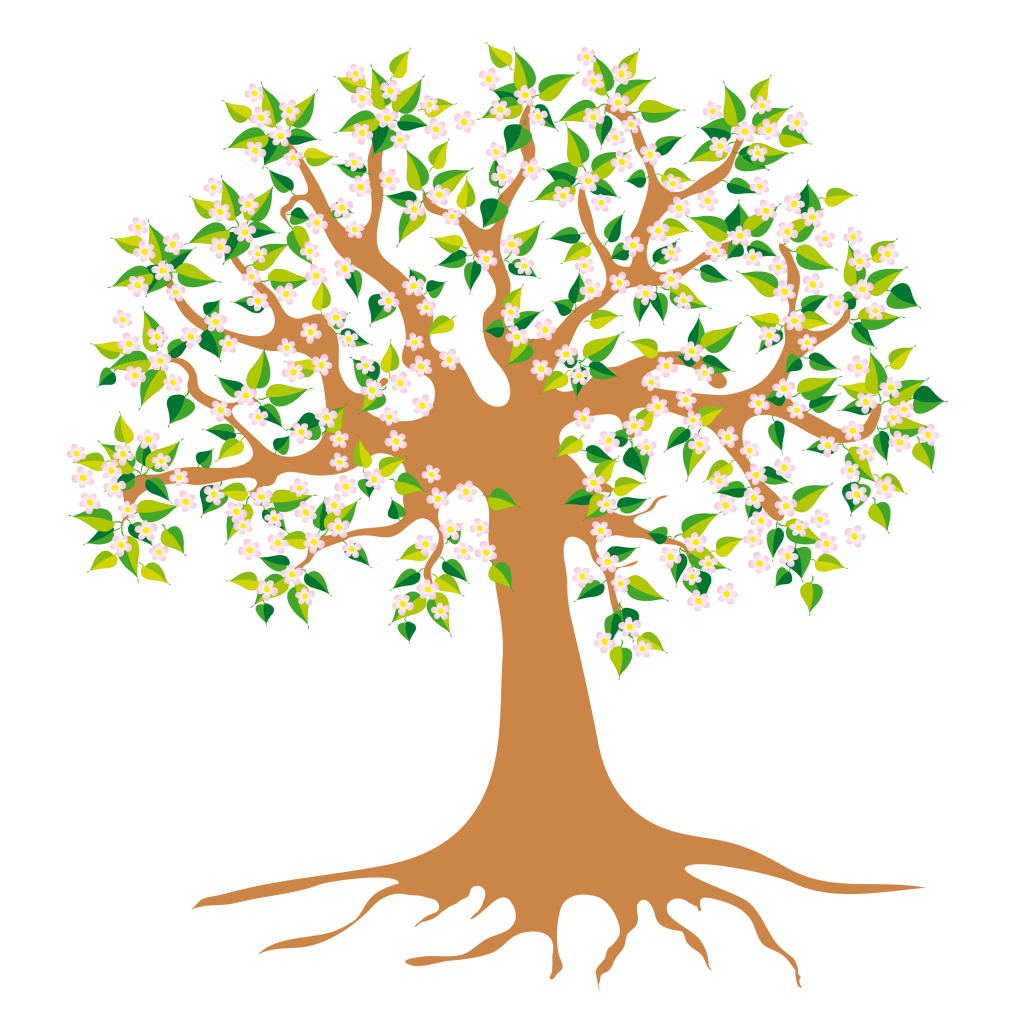 Apfelbaum im Frühling